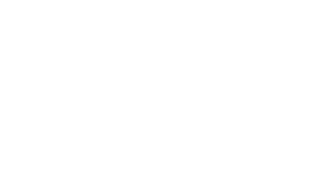 Mr. Watts logo white
